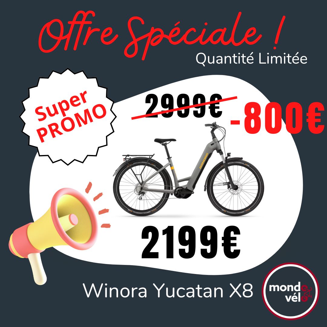 Winora Yucatan X8